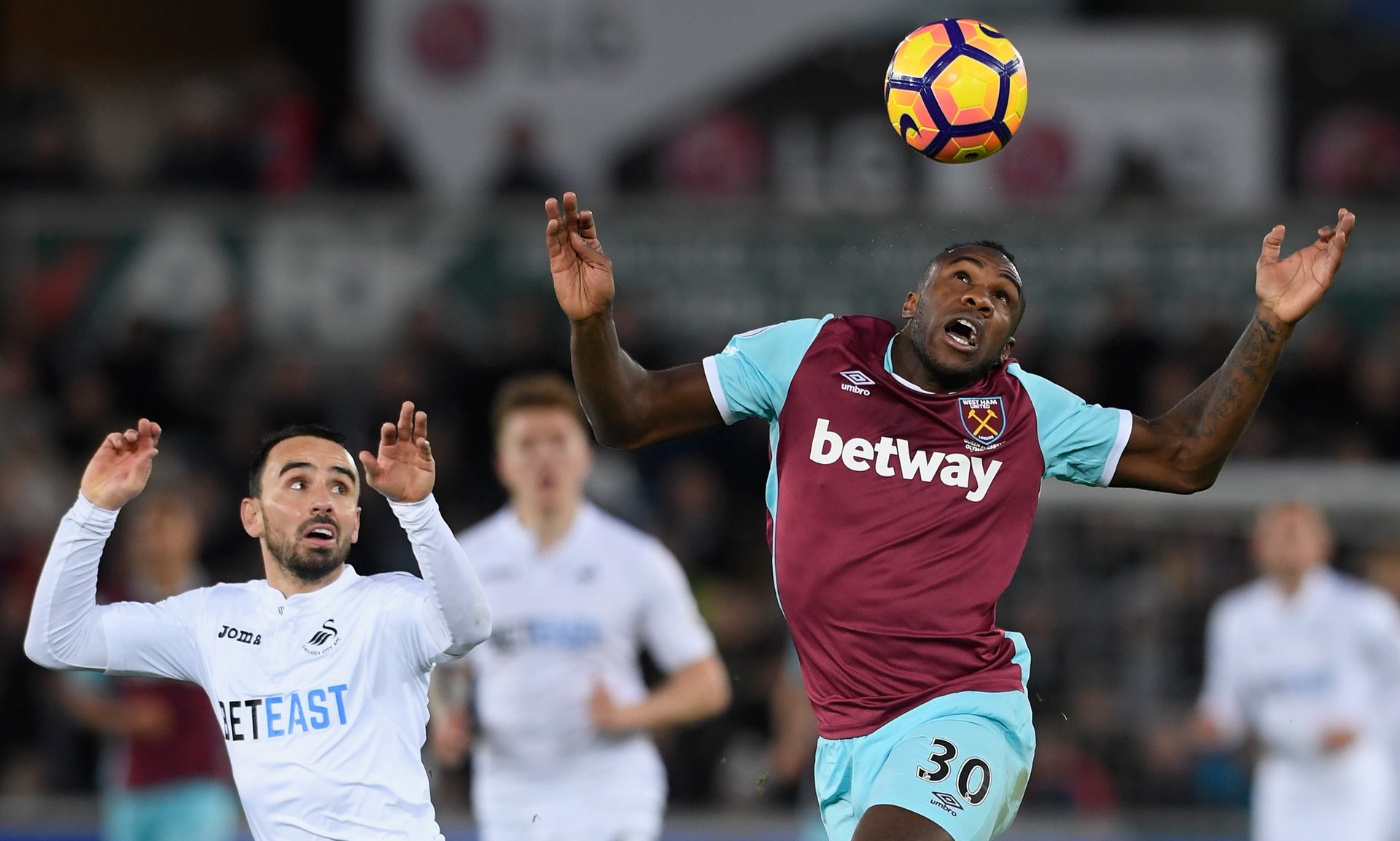 经过专业的 经过专业的